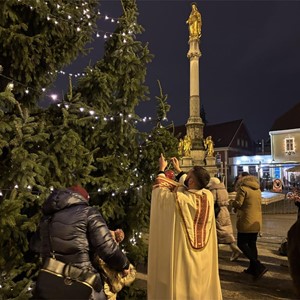 Mladi Zagrebačke nadbiskupije okitili bor ispred katedrale